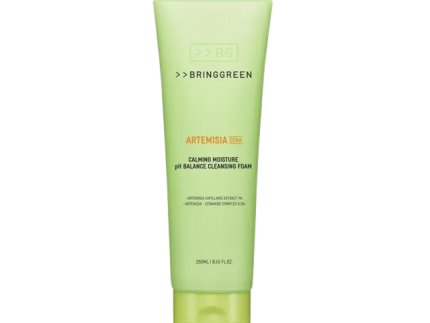 BRING GREEN Artemisia Cera Calming Moisture pH Balance cleansing Foam 250ml