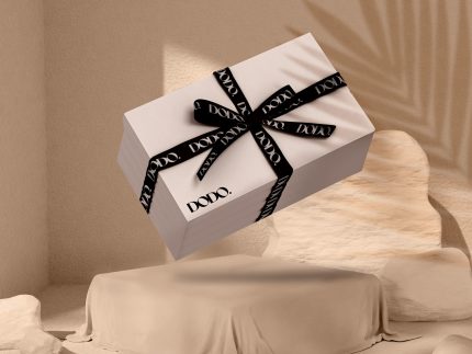 DODO BOX #1