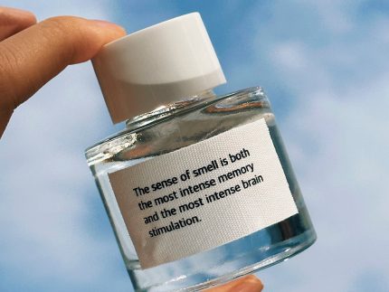 Deun Hyang Mini Car Perfume Diffuser 50ml (7 options to choose)