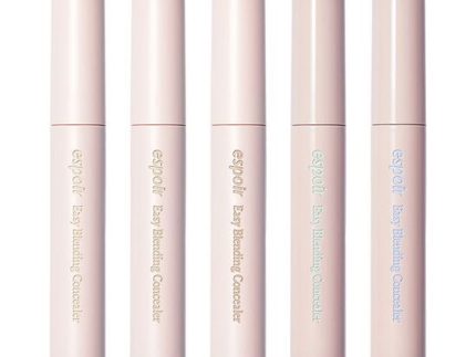 espoir Easy Blending Concealer 10g 5 colors