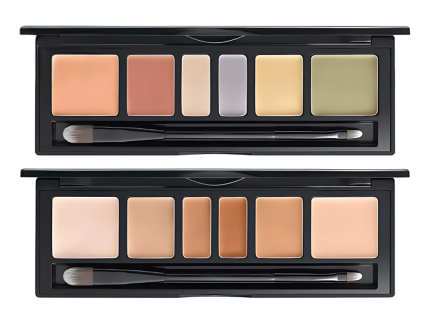 JUNG SAEM MOOL Artist Concealer Palette 6.6g