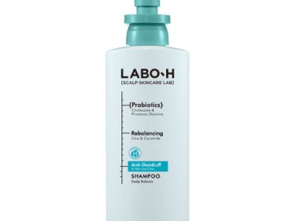 LABO-H Dandruff Clinic Shampoo Hair Loss Care 400ml