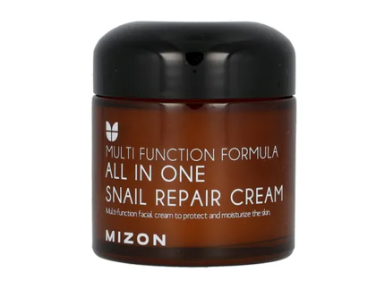 MIZON All In One Snail Repair Cream 75ml